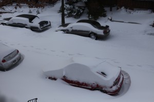 Cars buried in snow in Queens (Photo by Maurice Pinzon)